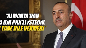 ÇAVUŞOĞLU ALMAN'YA HADDİNİ AŞTI