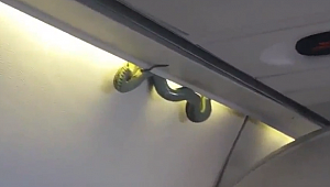 YOLCU UÇAĞIN'DA İLGİNÇ OLAY!