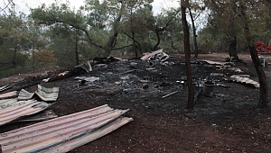 3 TARIM İŞÇİSİ YANARAK ÖLDÜ