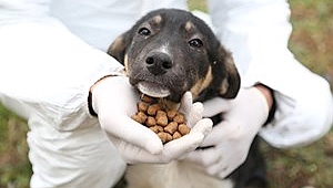 CAN DOSTLARIMIZI UNUTMUYORUZ