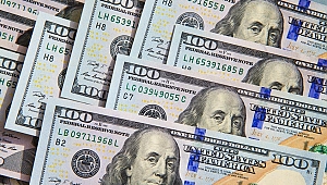 DOLAR NE KADAR OLDU?