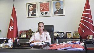 “OHAL’İN ARDINDAN PEŞ PEŞE ŞİRKET İFLASLARI GELEBİLİR”