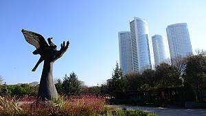 TAŞ YAPI CAMİLERE HACİZ GETİRİYOR !