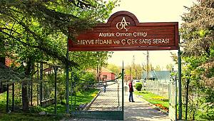 Atatürk Orman Çiftliği 90 yıl içinde yüzde 40 küçüldü!