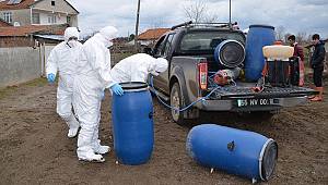 Bafra’da kümes hayvanı itlafları devam ediyor