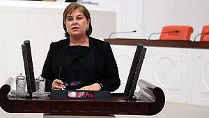 Divan üyelerinin harcamasına sınır geliyor 