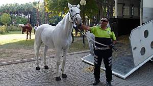 Türkiye, Kahraman Polis Fethi Sekin’e Ağlıyor!