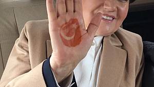 MERAL AKŞENER ÇANAKKALE'YE GİDERKEN KINA YAKTI