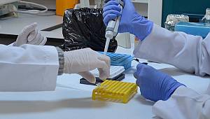 3D yazıcıyla suni embriyo üretildi