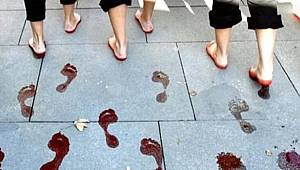 41 ülke arasında 13. sıradayız!