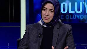 Cumhurbaşkanı Başdanışmanı: 'Evet' çıkarsa iki madde yürürlüğe girecek