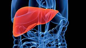 Karaciğerinizdeki o sorun için bol bol tüketin