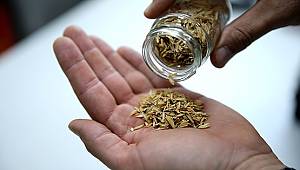 Pirinç kabuğundan yanmayan inşaat malzemesi geliştirdiler