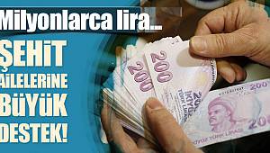 Şehit Ailelerine 102 milyon Lira Konut Kredisi