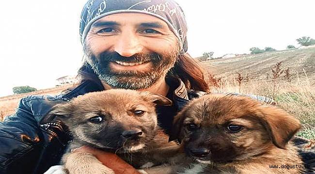Sarıyer'den Silivri'ye sahipsiz köpek hattı