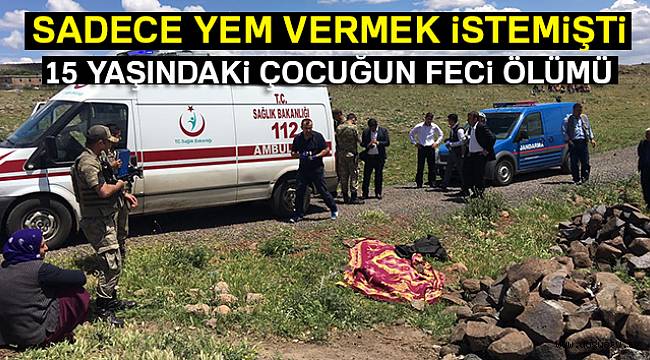 Atın peşinden sürüklediği kız çocuğu hayatını kaybetti