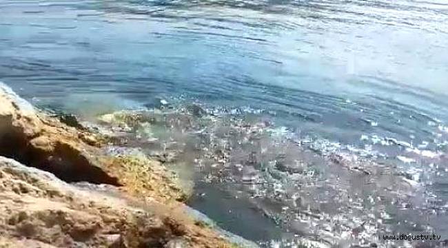 6.2'lik Deprem Sonrası Karaburun'da Korkutan Görüntü