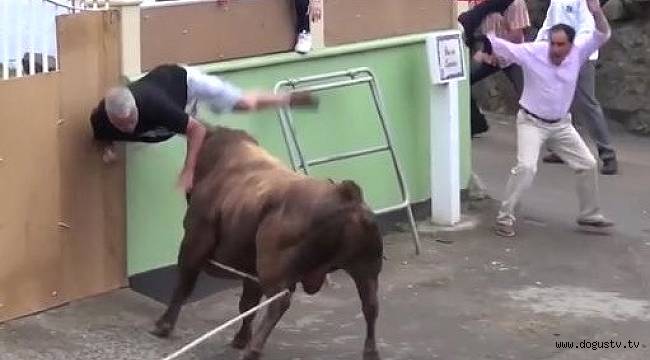 Kızgın Boğa Adamı Hastanelik Etti