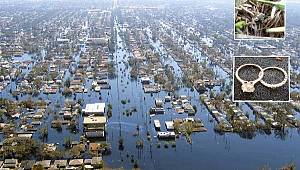 Metal Dedektörüyle Kaybolan yüzüğü buldu