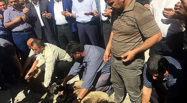 Bombalı saldırıya uğrayan kaymakam göreve böyle başladı