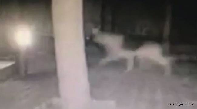 Depremden 4 dakika önceki görüntüler şok etti