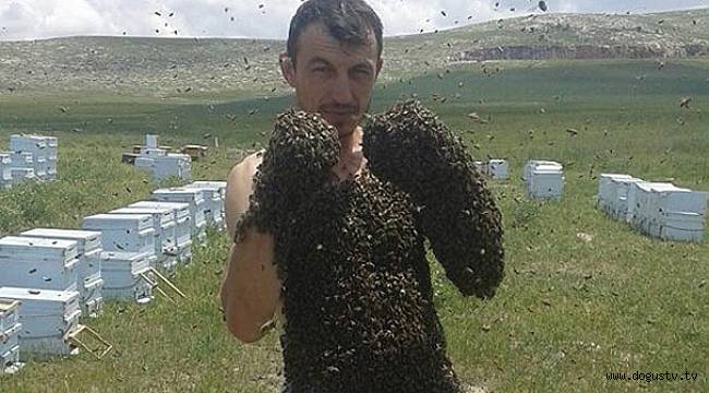 Görenler şok oluyor