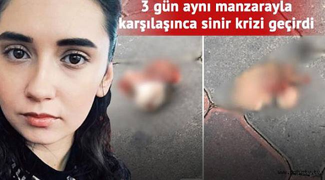 İzmir'deki vahşetin görüntüleri kan dondurdu
