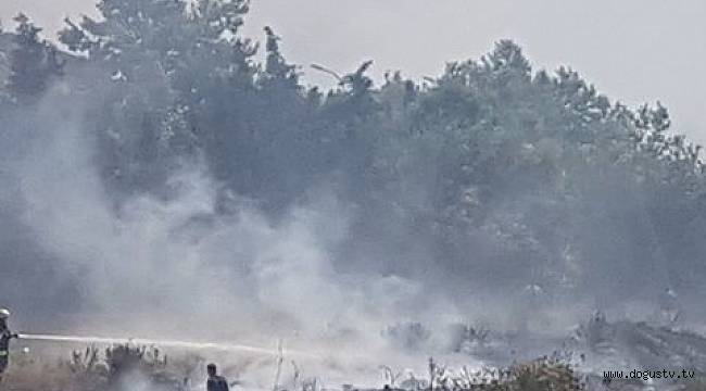 Kartal'da Korkutan Yangın