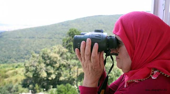 Ormanlar Ayda teyzeye emanet