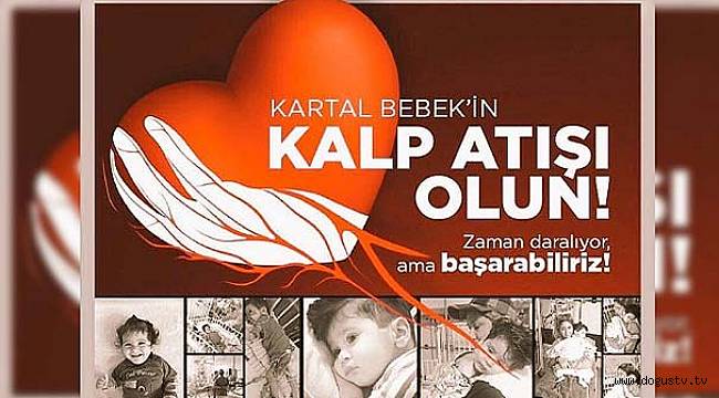 Türkiye, Kartal bebeği kurtarmak için seferber oldu!