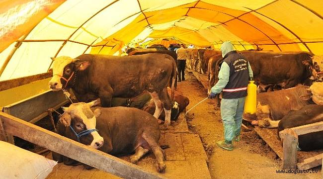 Tuzla Şifa Mahallesi Kurban Alanı Satışı Başlamıştır
