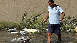 At ve eşekleri kesip kemiklerini sulama kanalına attılar