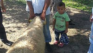 Babasının kucağından düşerek öldü