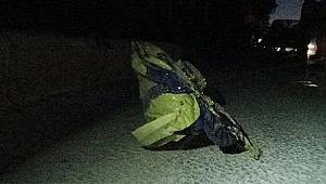 Çocukların eğlencesi kötü bitti! Balon bir şehri felç etti!