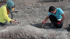 Domuztepe'de 'hayat ağacı' motifli kaplar bulundu