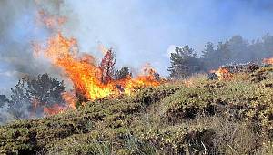 Erzurum'daki orman yangını sürüyor