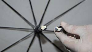 İçinden çıkanlar şaşkına çevirdi