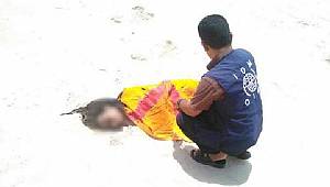 İnsan kaçakçıları 120 sığınmacıyı denize attı, 50’si boğuldu