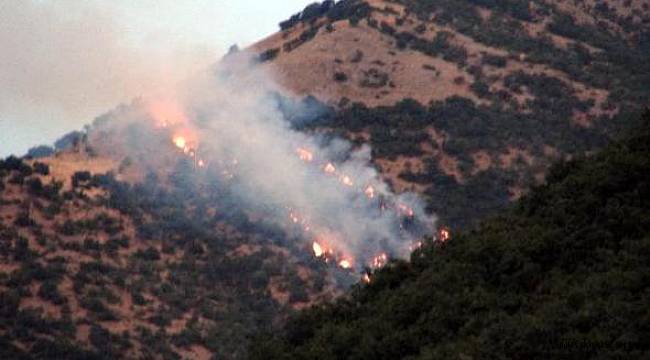 Tunceli'de 6 bölgede başlayan orman yangınları devam ediyor