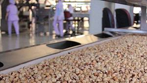 Türkiye'nin ilk fındık borsası 8 Eylül'de açılacak