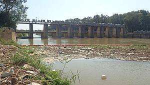 Uzmanlar, Büyük Menderes Nehri'ndeki tehlikeye dikkat çektiler