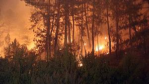 Bolu'daki orman yangını ile ilgili korkunç şüphe!