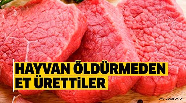 Laboratuvarda et ürettiler