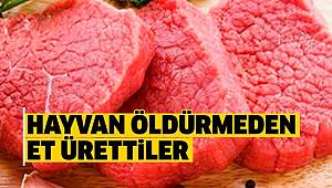 Laboratuvarda et ürettiler