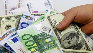 Dolar yükselişte, Euro rekorları alt üst etti!