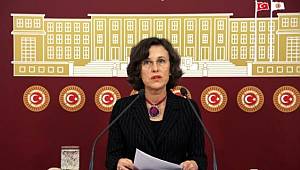 HDP'den medya patronlarına: Paradise Belgeleri de mi haber değil?