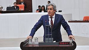 HDP’li vekil Lezgin Botan gözaltına alındı