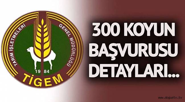 300 koyun başvuruları başladı! İşte TİGEM 300 koyun koşulları? Kimler 300 koyun başvurusu yapabilecek…