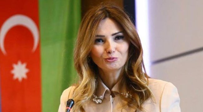 Azeri vekil Paşayeva'dan Türkiye'ye destek