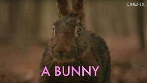 Bir korku klasiği olmaya aday The Witch'i ya Wes Anderson çekseydi?